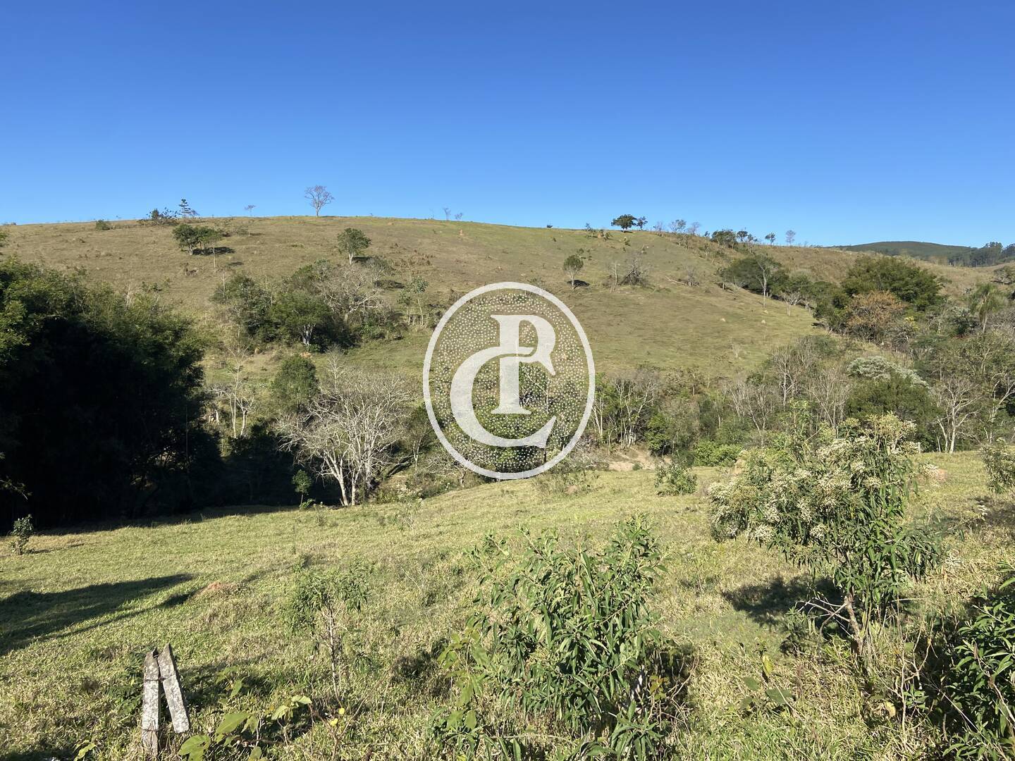 Fazenda, 121000 hectares - Foto 40