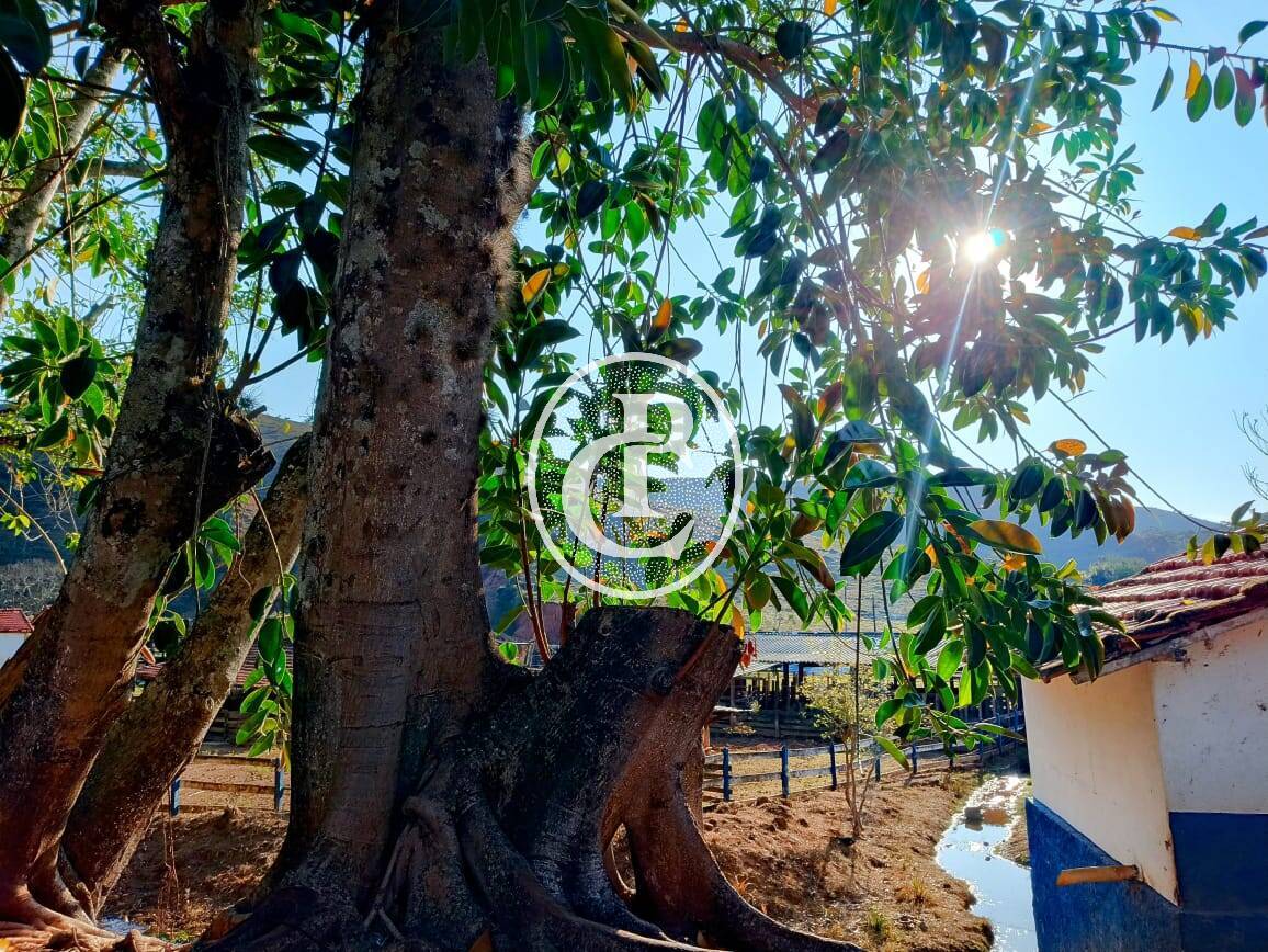 Fazenda-Sítio-Chácara, 18 hectares - Foto 3