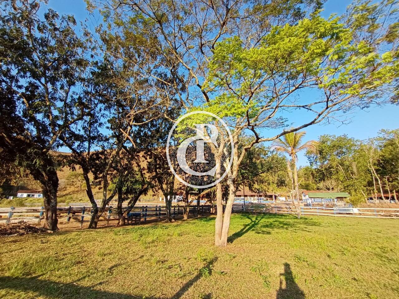 Fazenda-Sítio-Chácara, 18 hectares - Foto 6