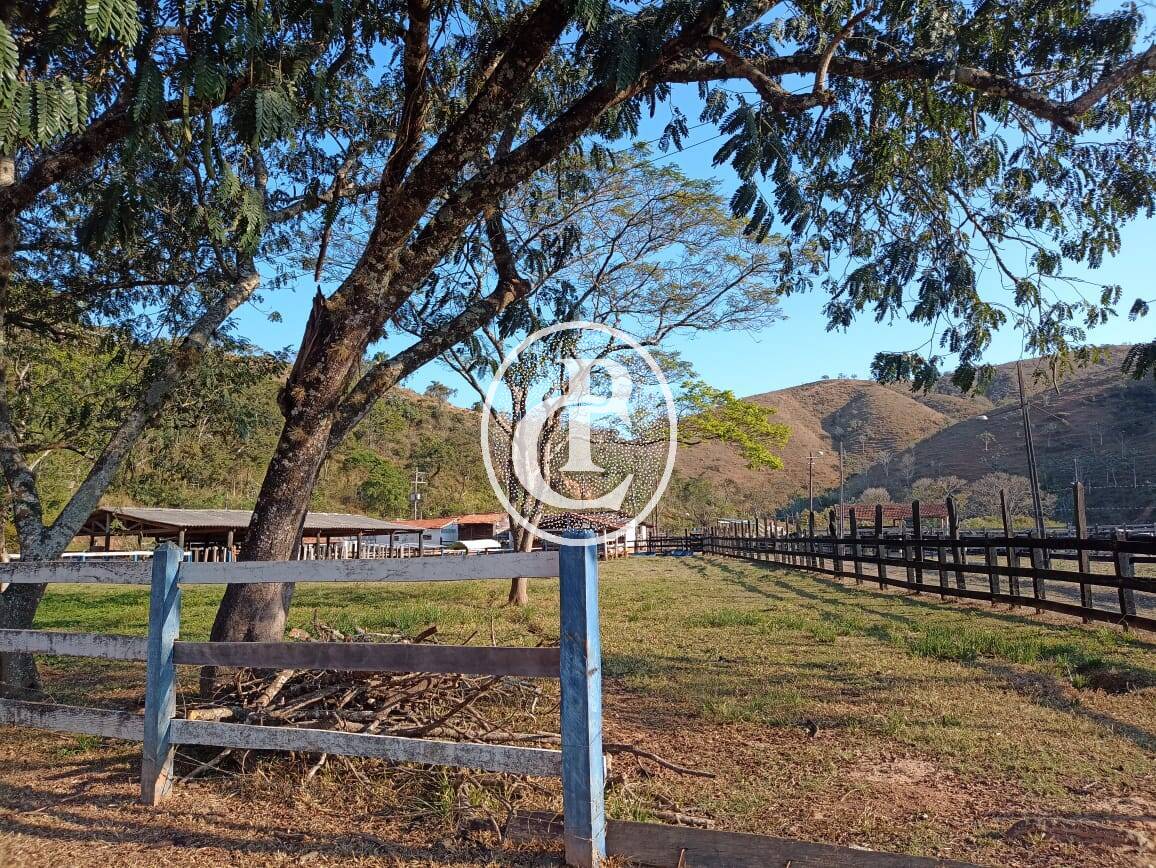 Fazenda-Sítio-Chácara, 18 hectares - Foto 5