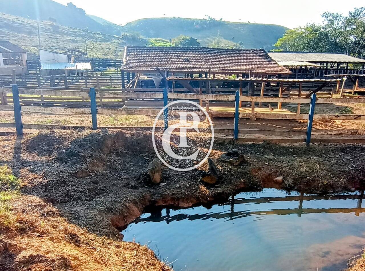 Fazenda-Sítio-Chácara, 18 hectares - Foto 2