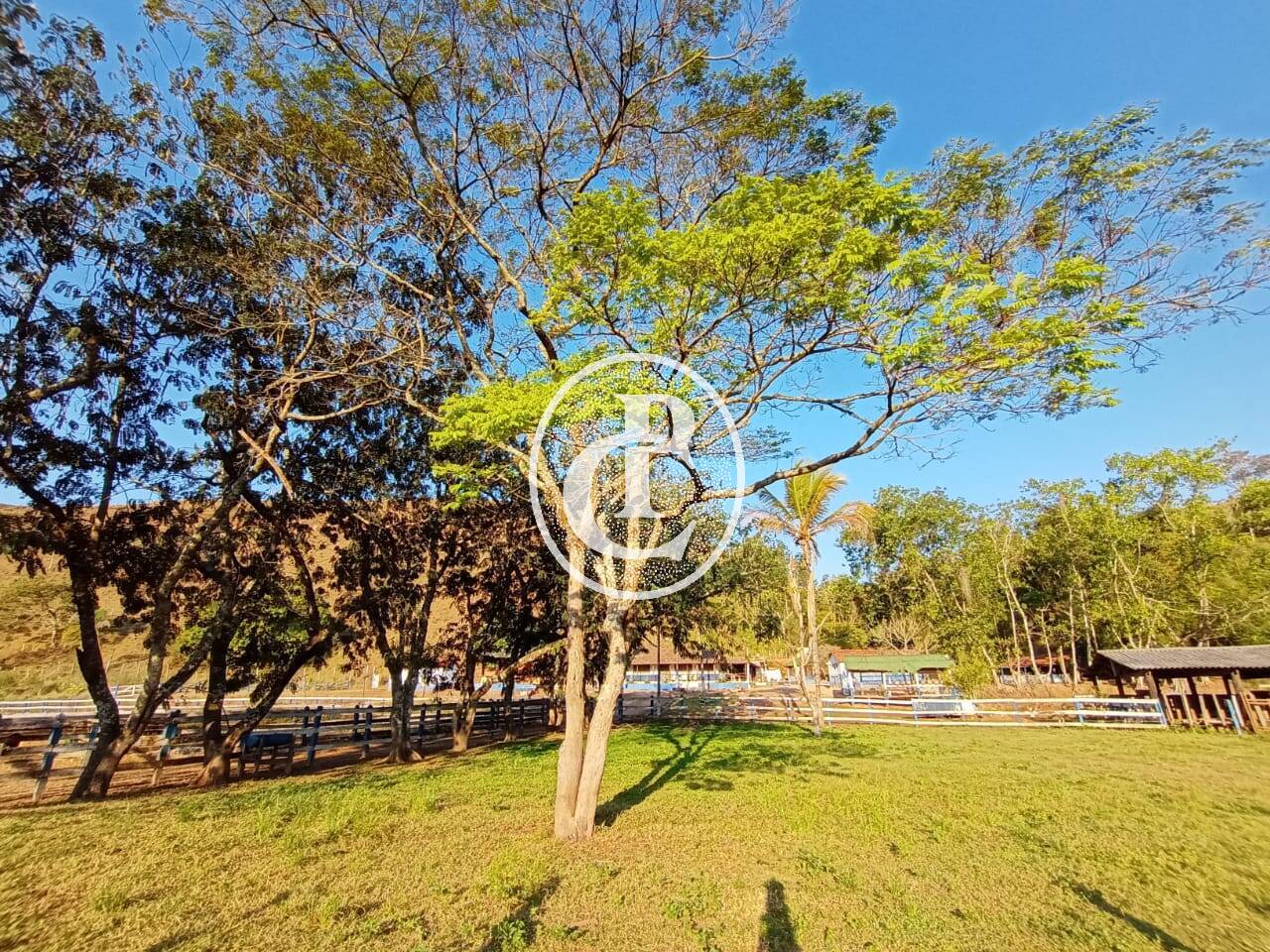 Fazenda-Sítio-Chácara, 18 hectares - Foto 8