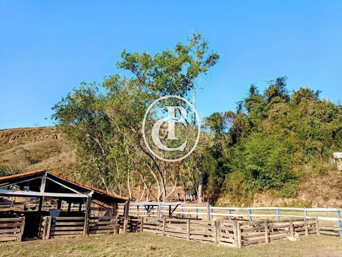 Fazenda-Sítio-Chácara, 18 hectares - Foto 11