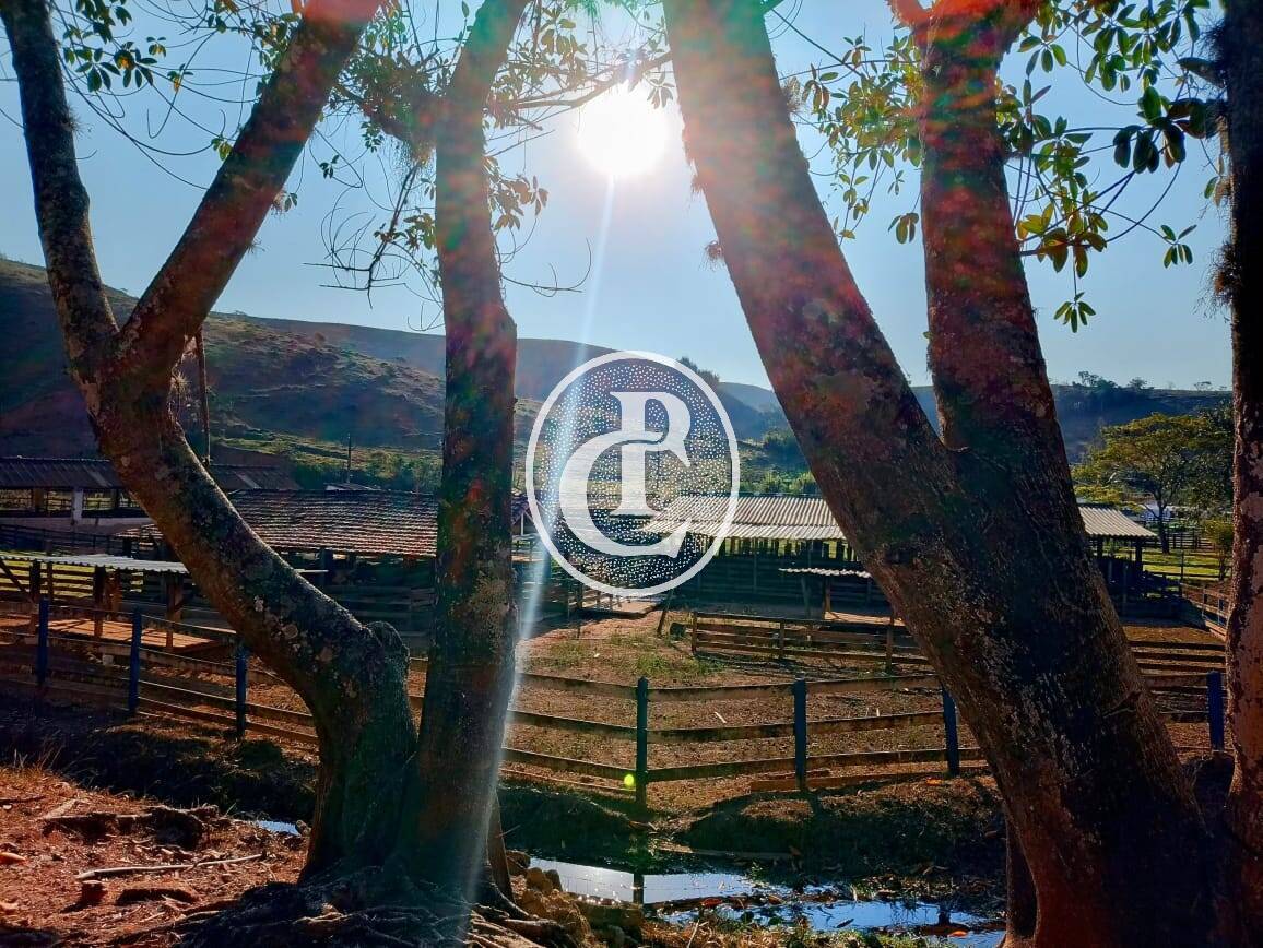 Fazenda-Sítio-Chácara, 18 hectares - Foto 10