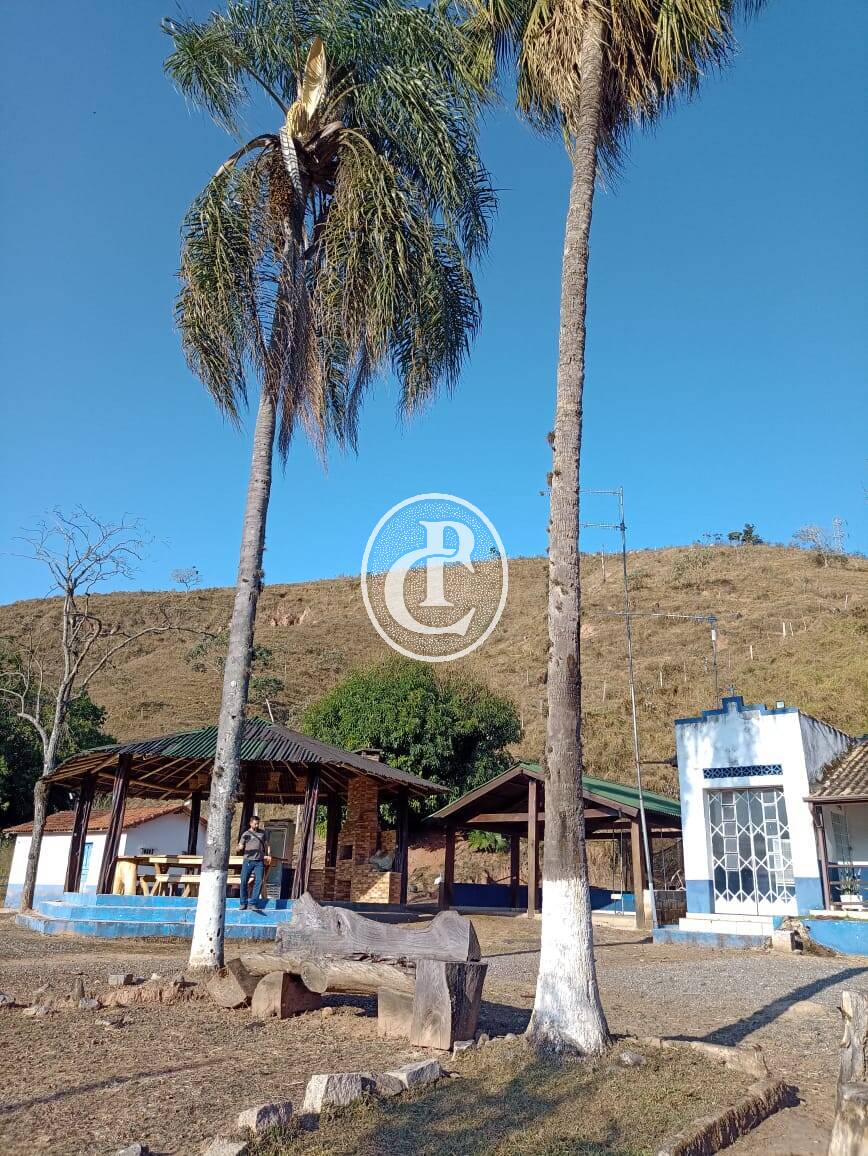 Fazenda-Sítio-Chácara, 18 hectares - Foto 13