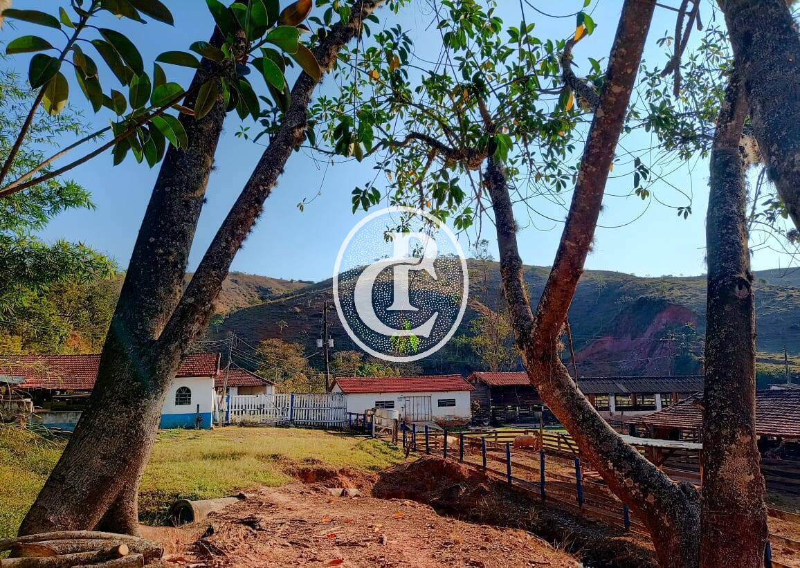Fazenda-Sítio-Chácara, 18 hectares - Foto 16