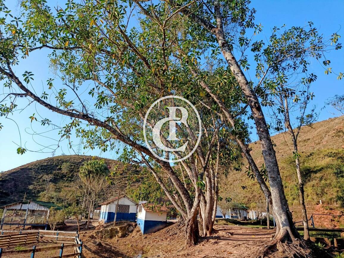 Fazenda-Sítio-Chácara, 18 hectares - Foto 18