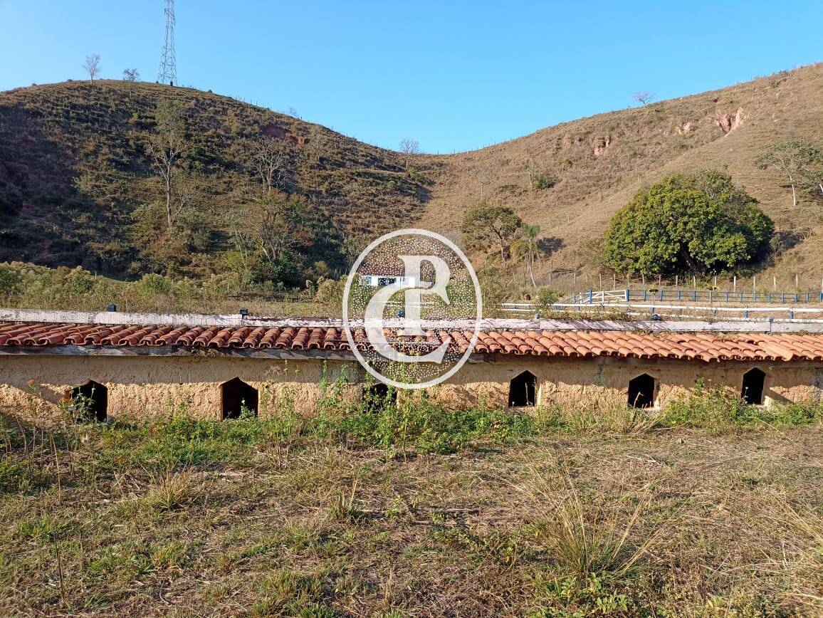 Fazenda-Sítio-Chácara, 18 hectares - Foto 19