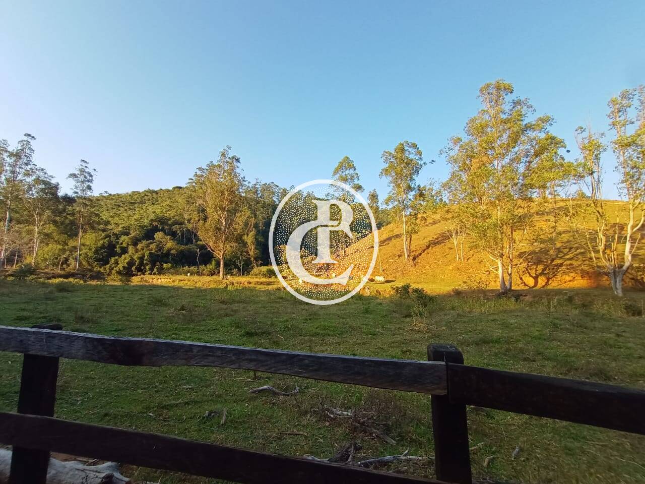 Fazenda-Sítio-Chácara, 18 hectares - Foto 20