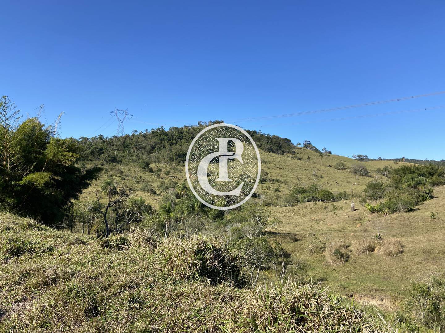 Fazenda, 121000 hectares - Foto 41