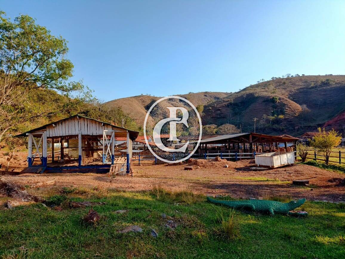 Fazenda-Sítio-Chácara, 18 hectares - Foto 22