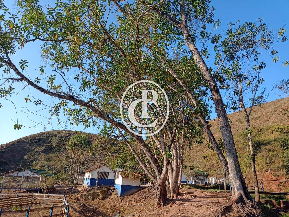 Fazenda-Sítio-Chácara, 18 hectares - Foto 24