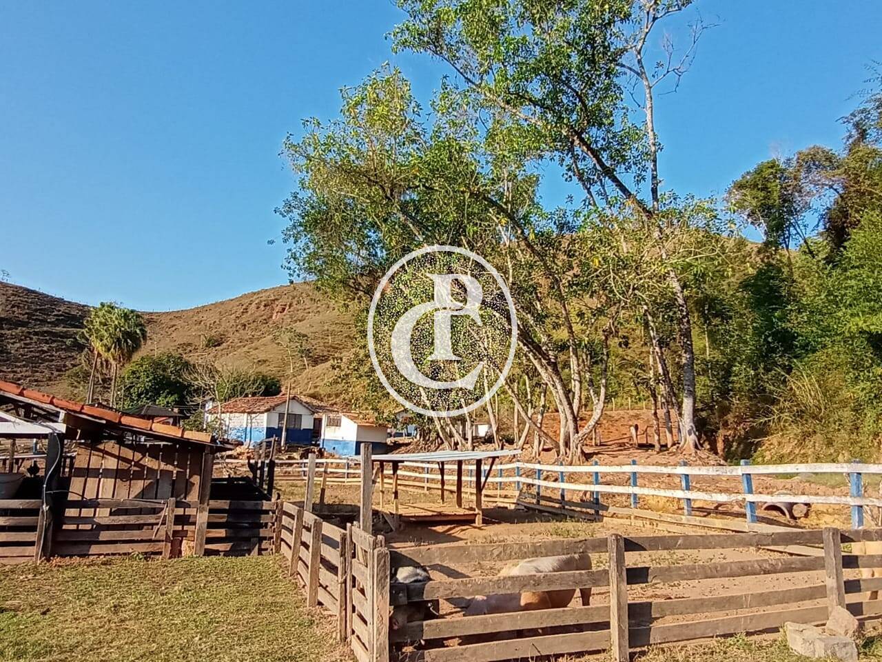 Fazenda-Sítio-Chácara, 18 hectares - Foto 23