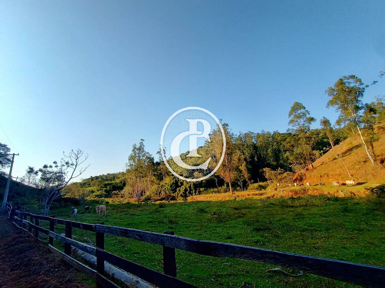 Fazenda-Sítio-Chácara, 18 hectares - Foto 27