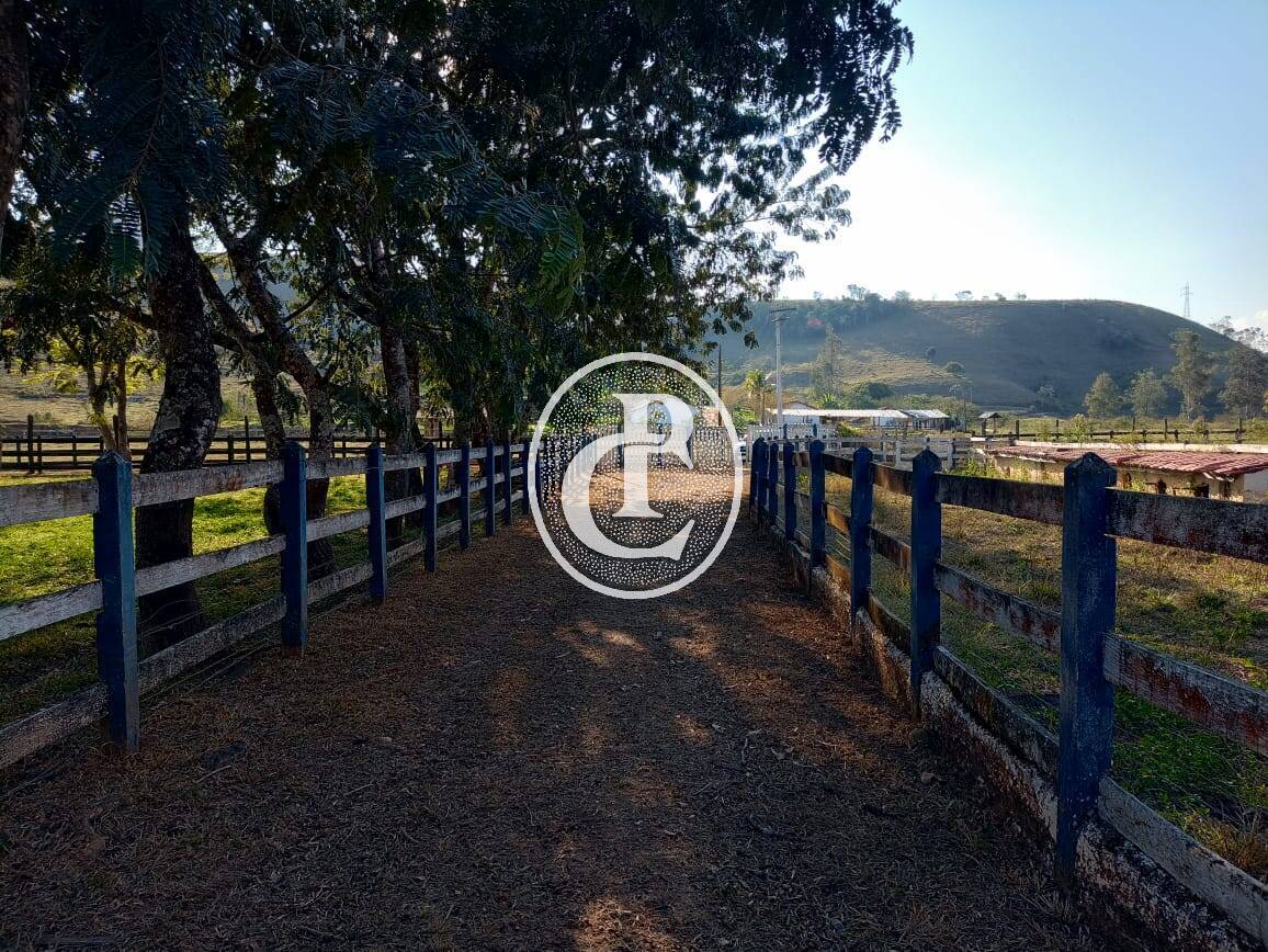 Fazenda-Sítio-Chácara, 18 hectares - Foto 25