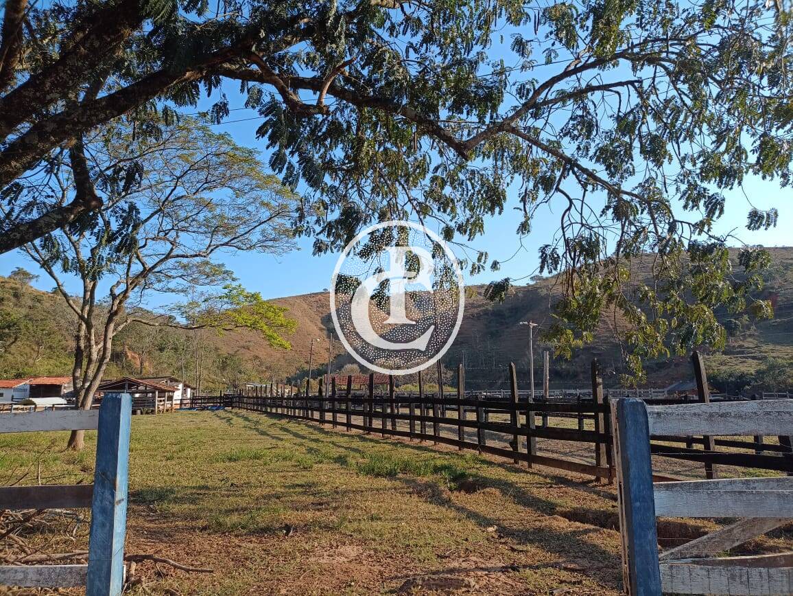 Fazenda-Sítio-Chácara, 18 hectares - Foto 28