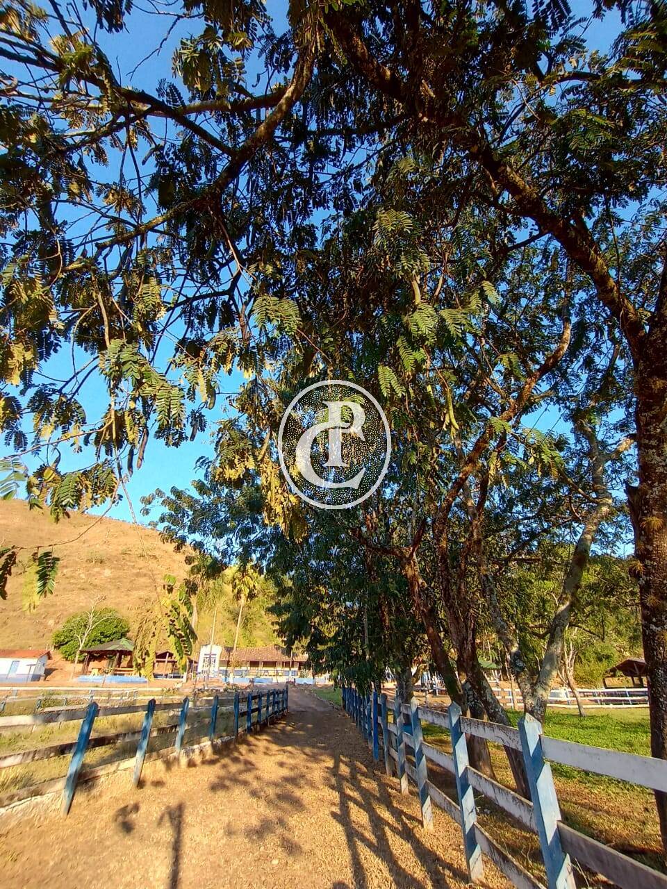 Fazenda-Sítio-Chácara, 18 hectares - Foto 31