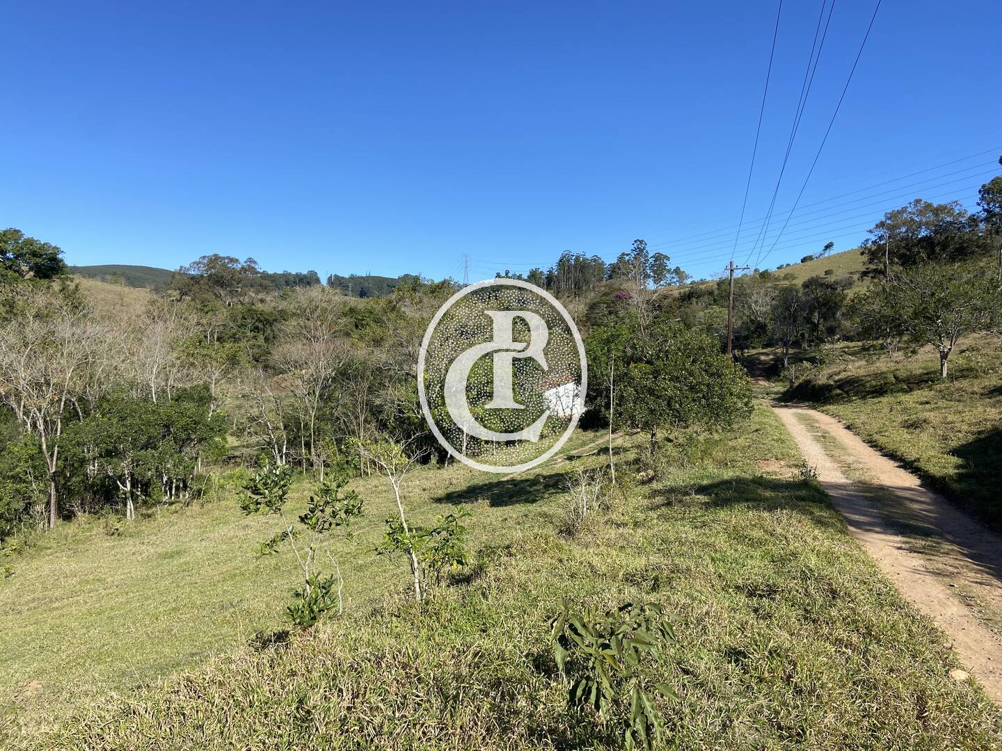 Fazenda, 121000 hectares - Foto 42