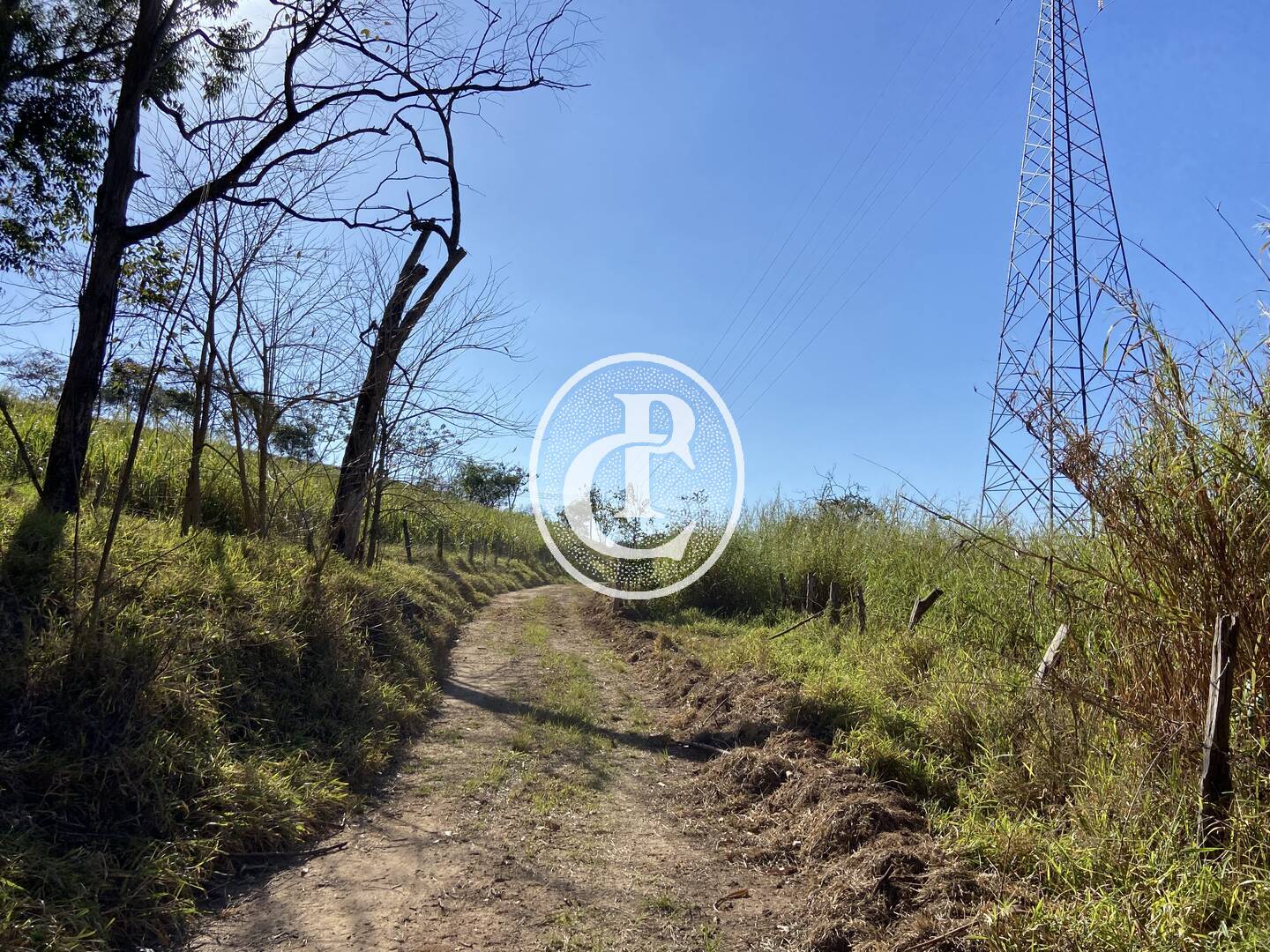 Fazenda, 121000 hectares - Foto 45