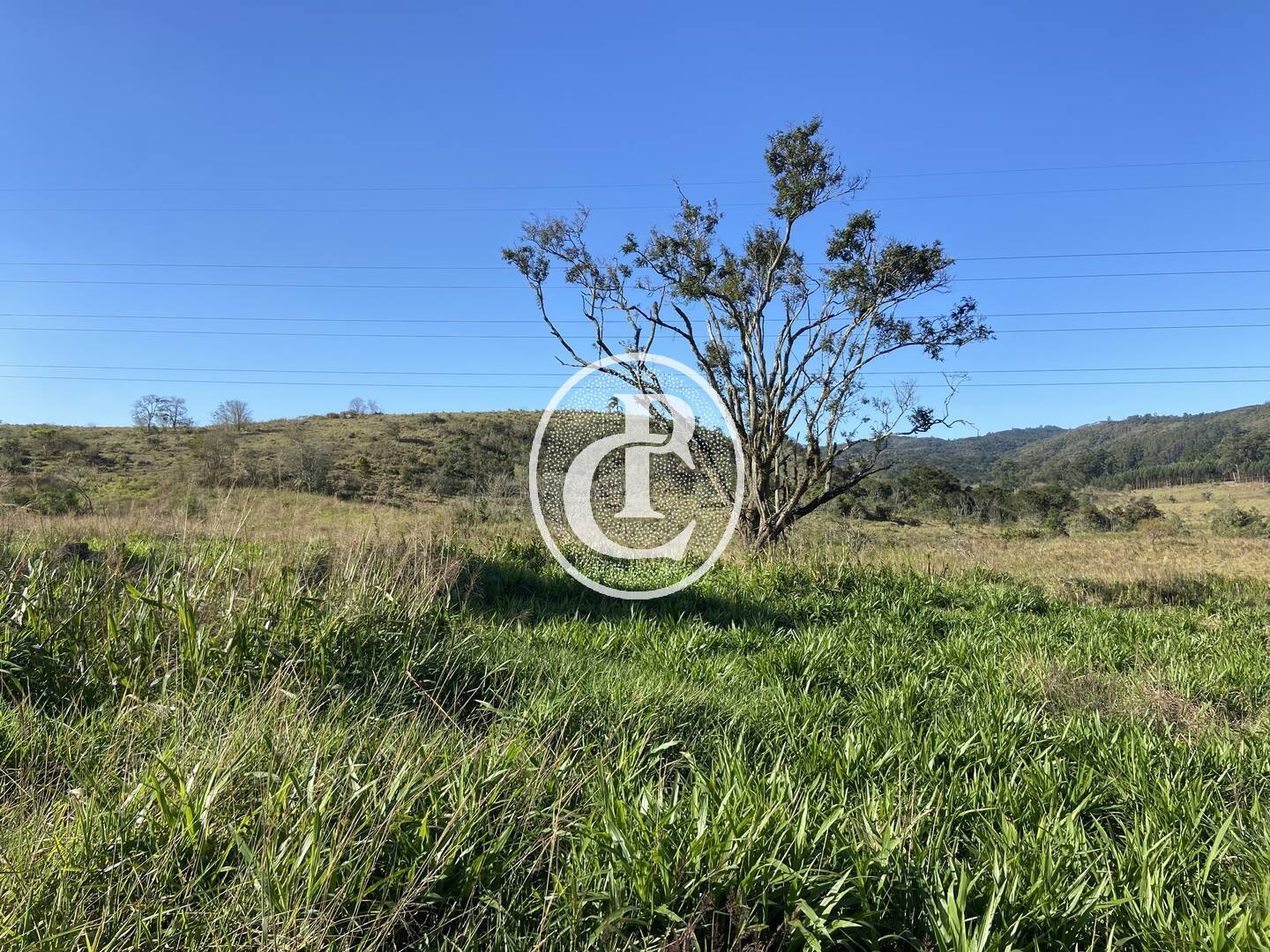 Fazenda, 121000 hectares - Foto 46