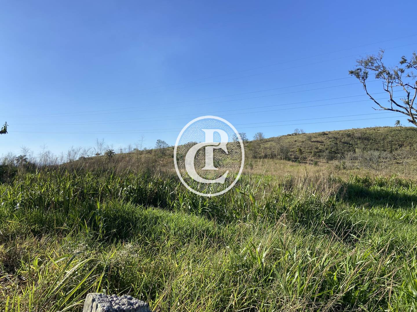 Fazenda, 121000 hectares - Foto 48