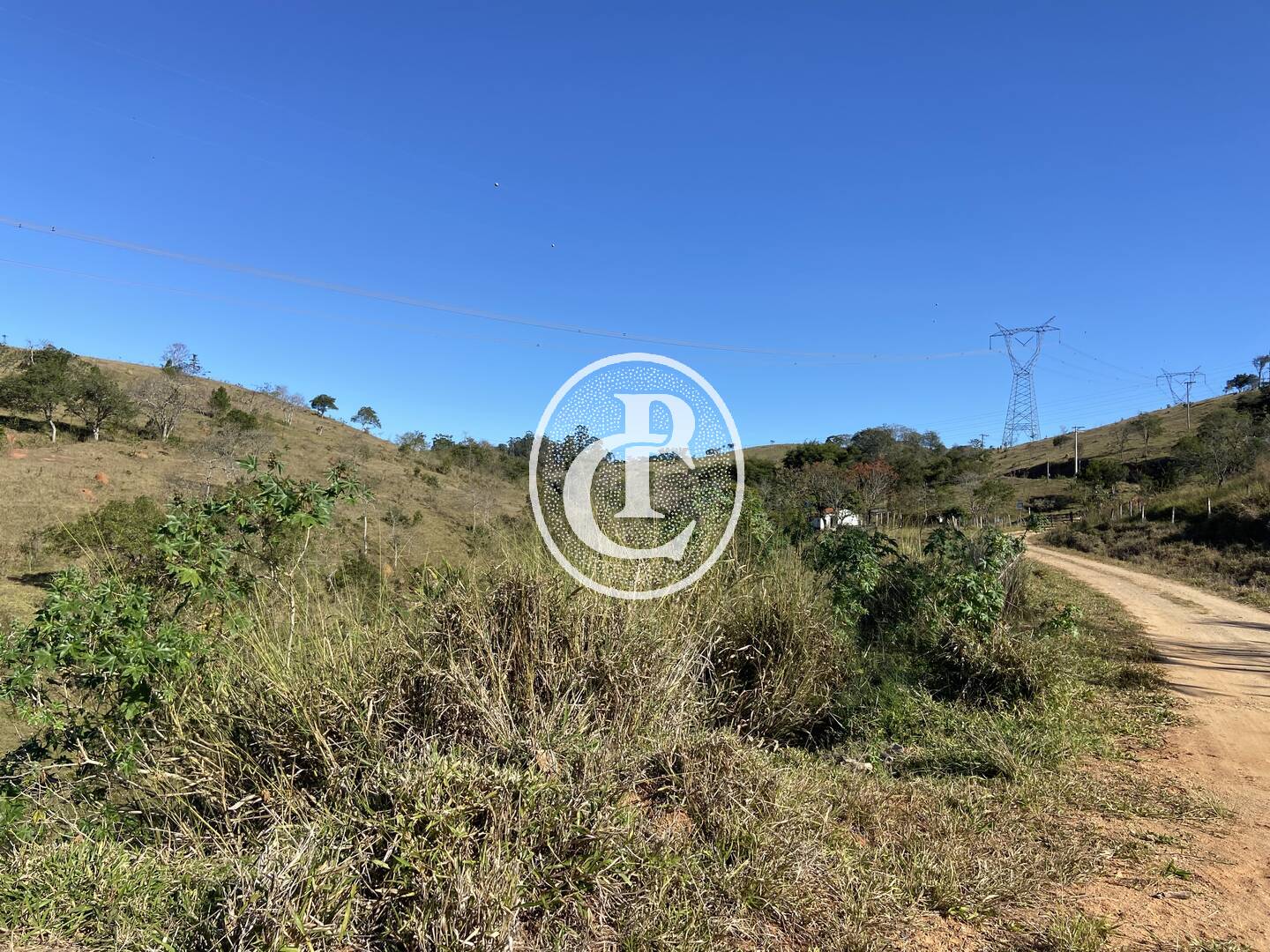 Fazenda, 121000 hectares - Foto 49