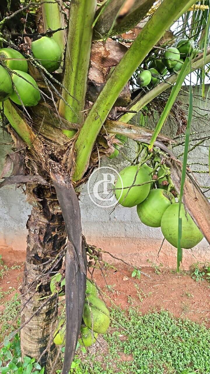 Chácara, 2 quartos, 1800 m² - Foto 9