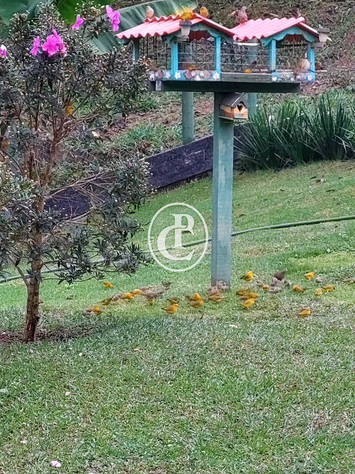 Chácara, 3 quartos, 1 hectares - Foto 35