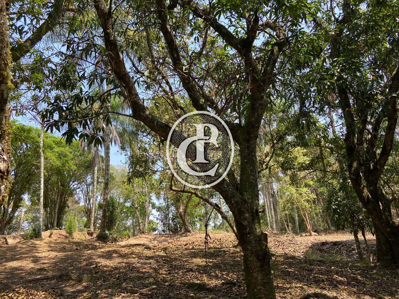 Sítio, 4 quartos, 36 m² - Foto 16