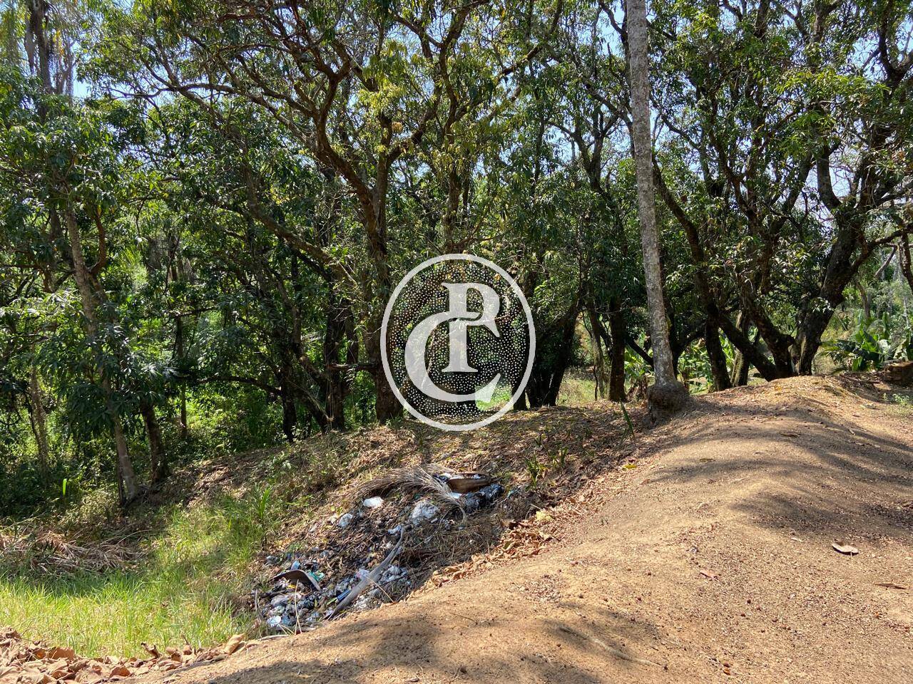 Sítio, 4 quartos, 36 m² - Foto 20