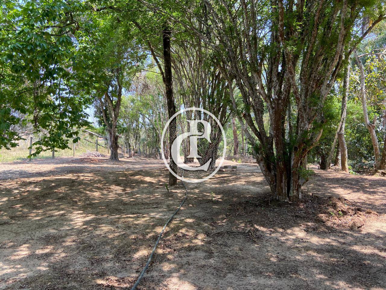 Sítio, 4 quartos, 36 m² - Foto 30