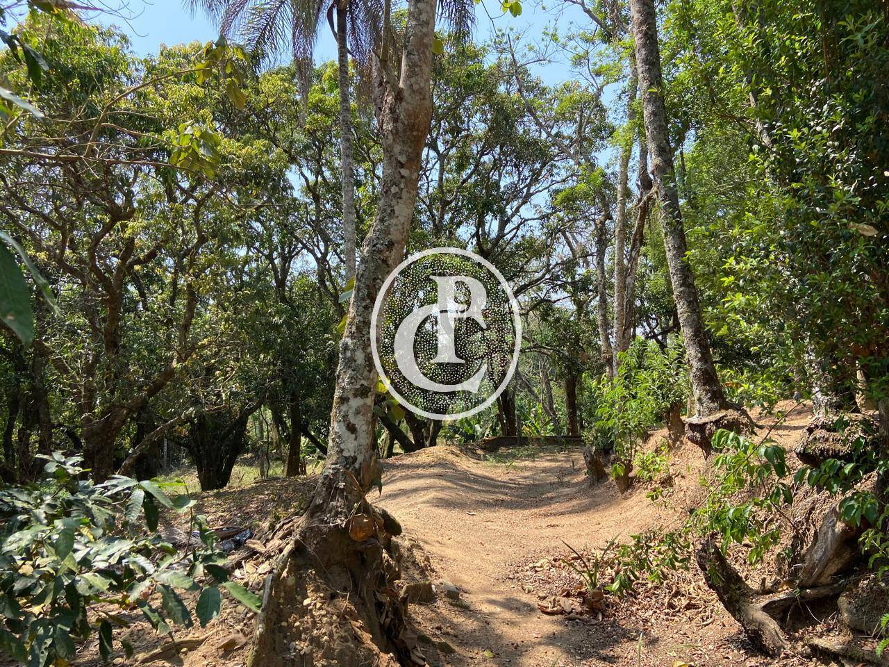 Sítio, 4 quartos, 36 m² - Foto 31