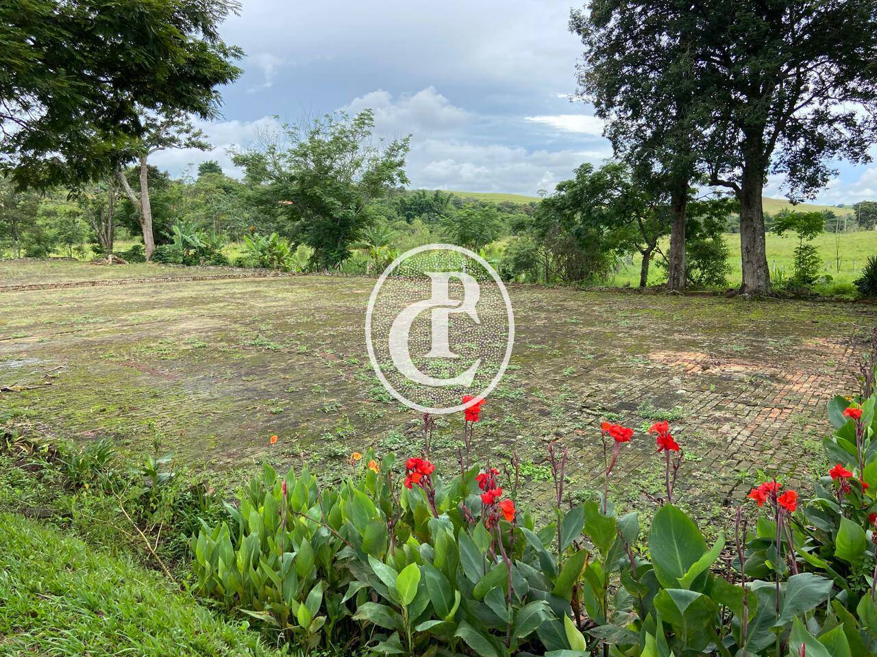 Sítio, 4 quartos, 36 m² - Foto 39