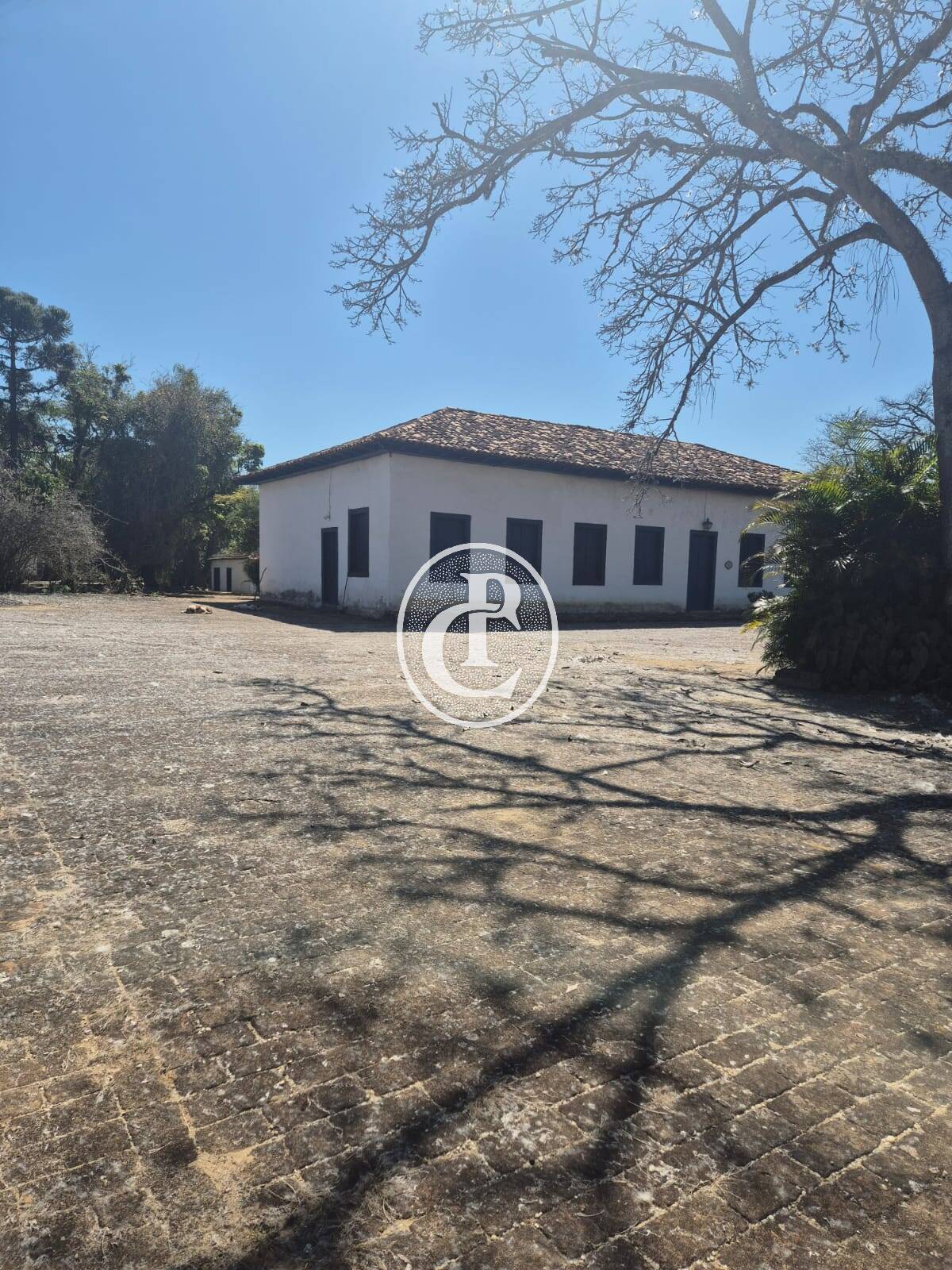 Sítio, 4 quartos, 36 m² - Foto 44