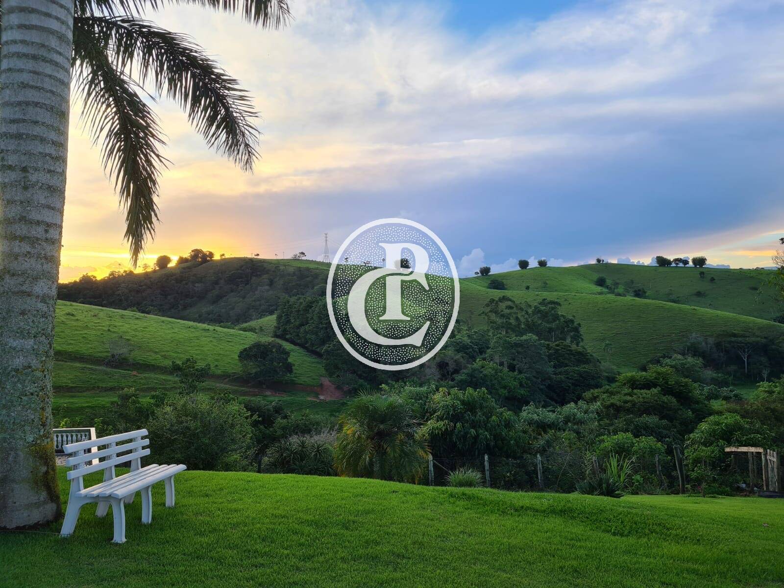 Chácara, 4 quartos, 2500 m² - Foto 2