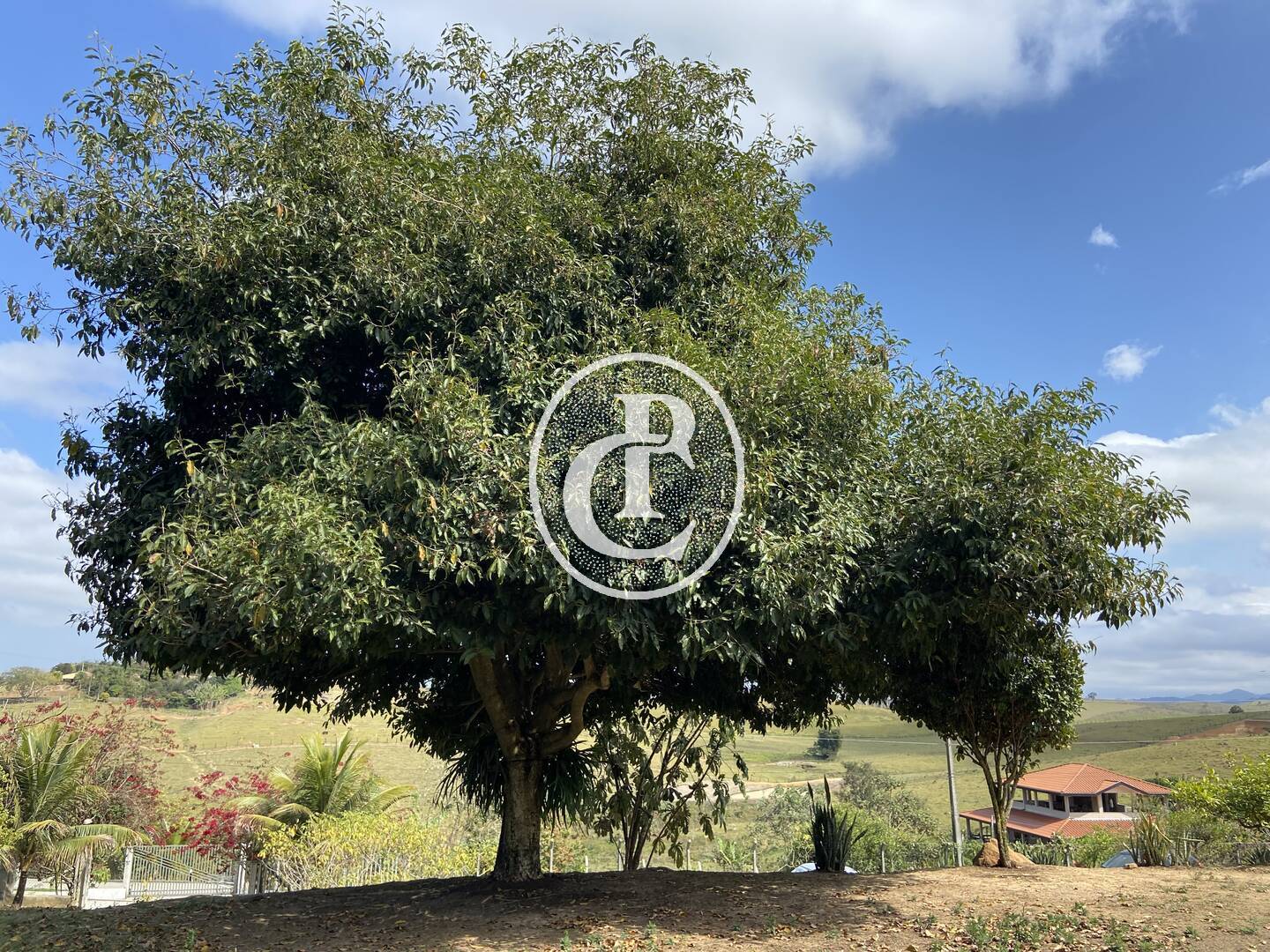 Chácara, 1 quarto, 3000 m² - Foto 9