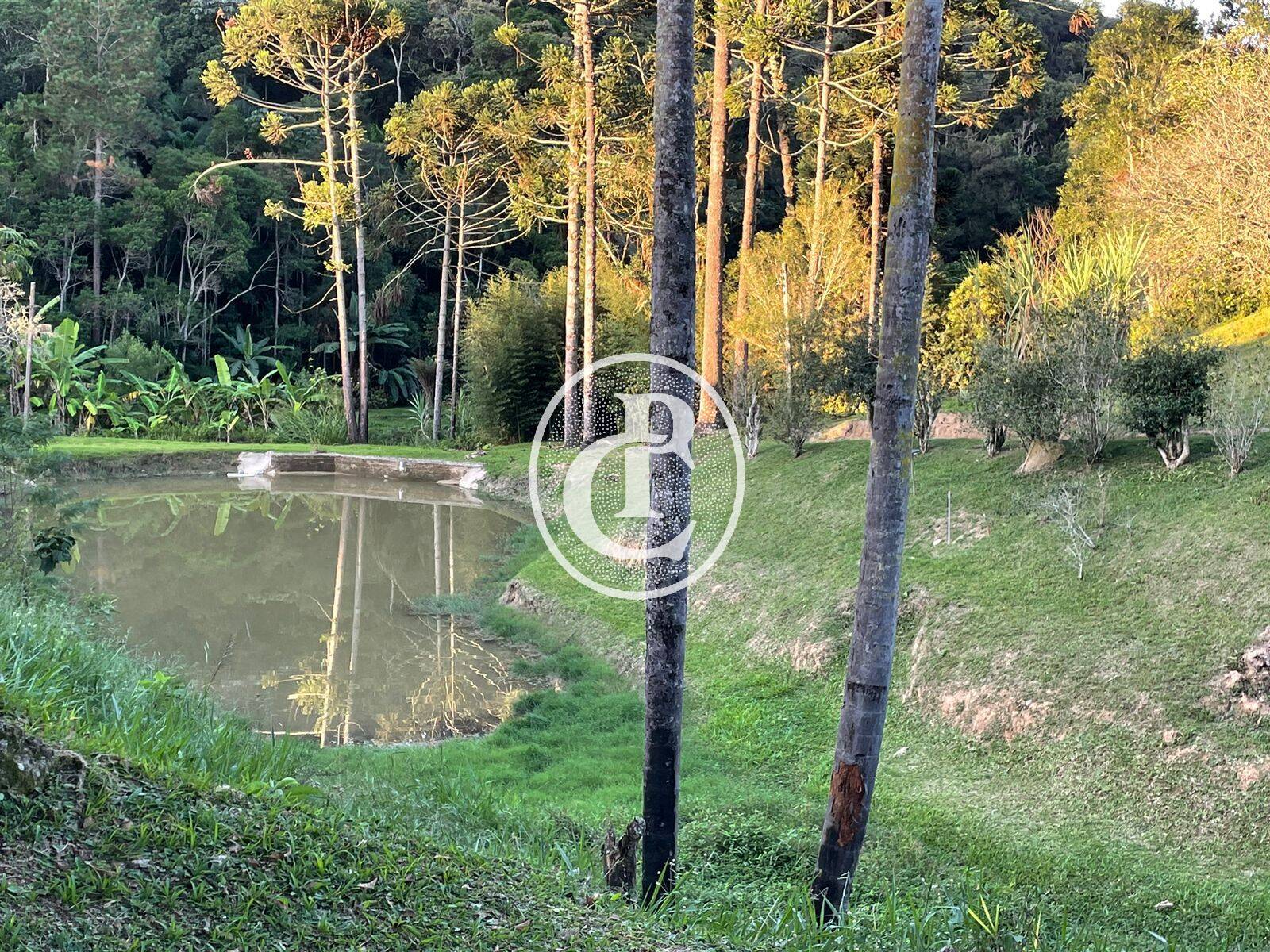 Sítio, 5 quartos, 550 m² - Foto 4