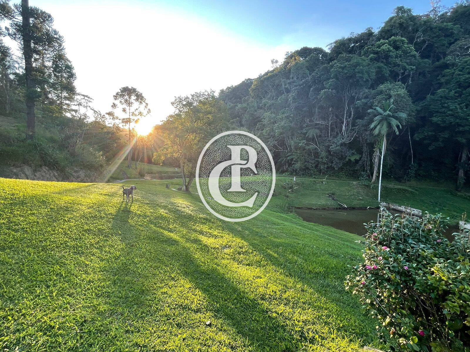 Sítio, 5 quartos, 550 m² - Foto 10