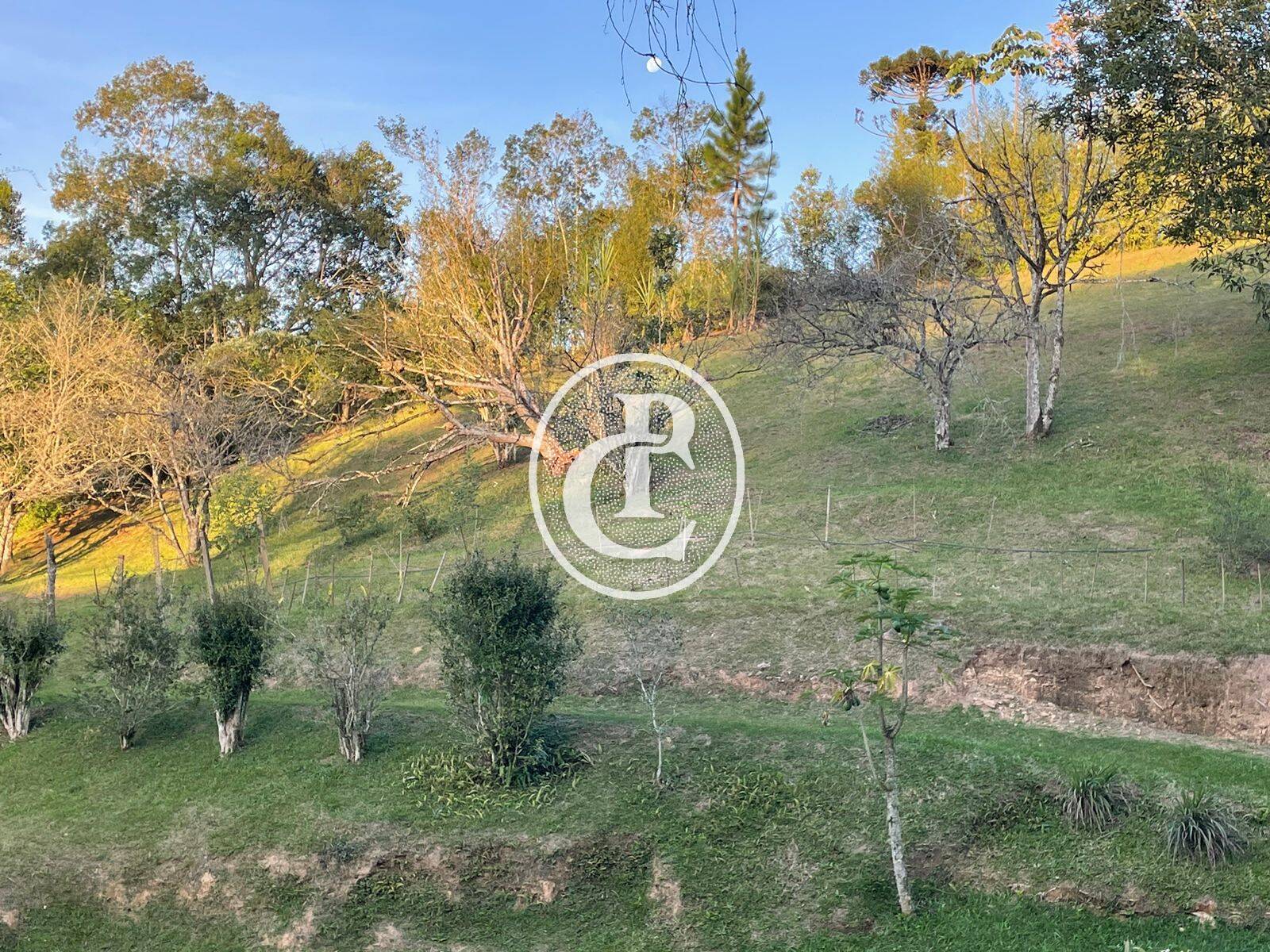 Sítio, 5 quartos, 550 m² - Foto 17