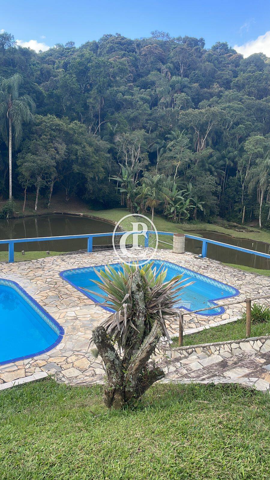 Sítio, 5 quartos, 550 m² - Foto 54