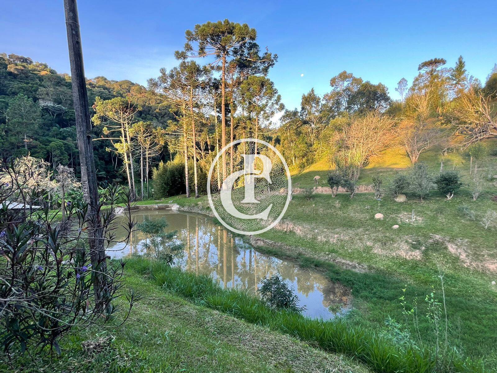 Sítio, 5 quartos, 550 m² - Foto 67