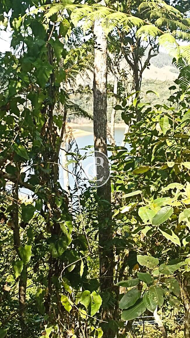 Sítio, 1 quarto, 2 hectares - Foto 1