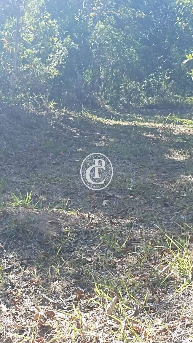 Sítio, 1 quarto, 2 hectares - Foto 2