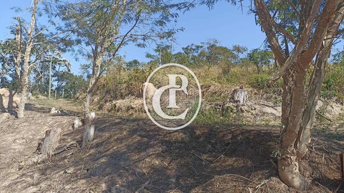 Sítio, 1 quarto, 2 hectares - Foto 4