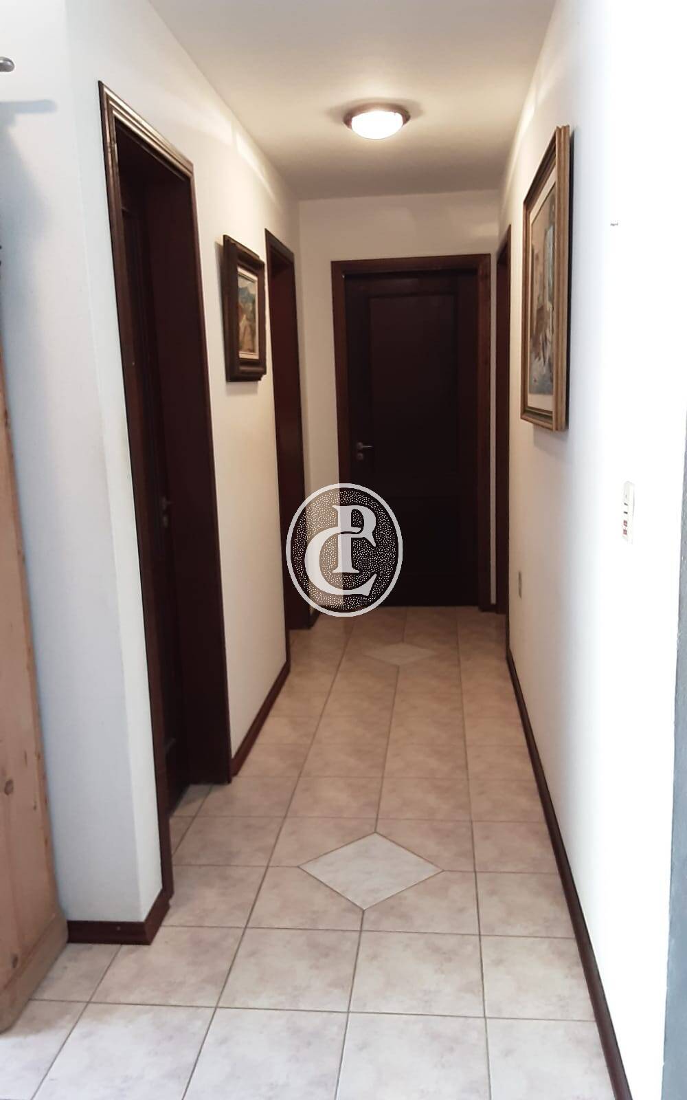 Sítio, 3 quartos, 4 hectares - Foto 6