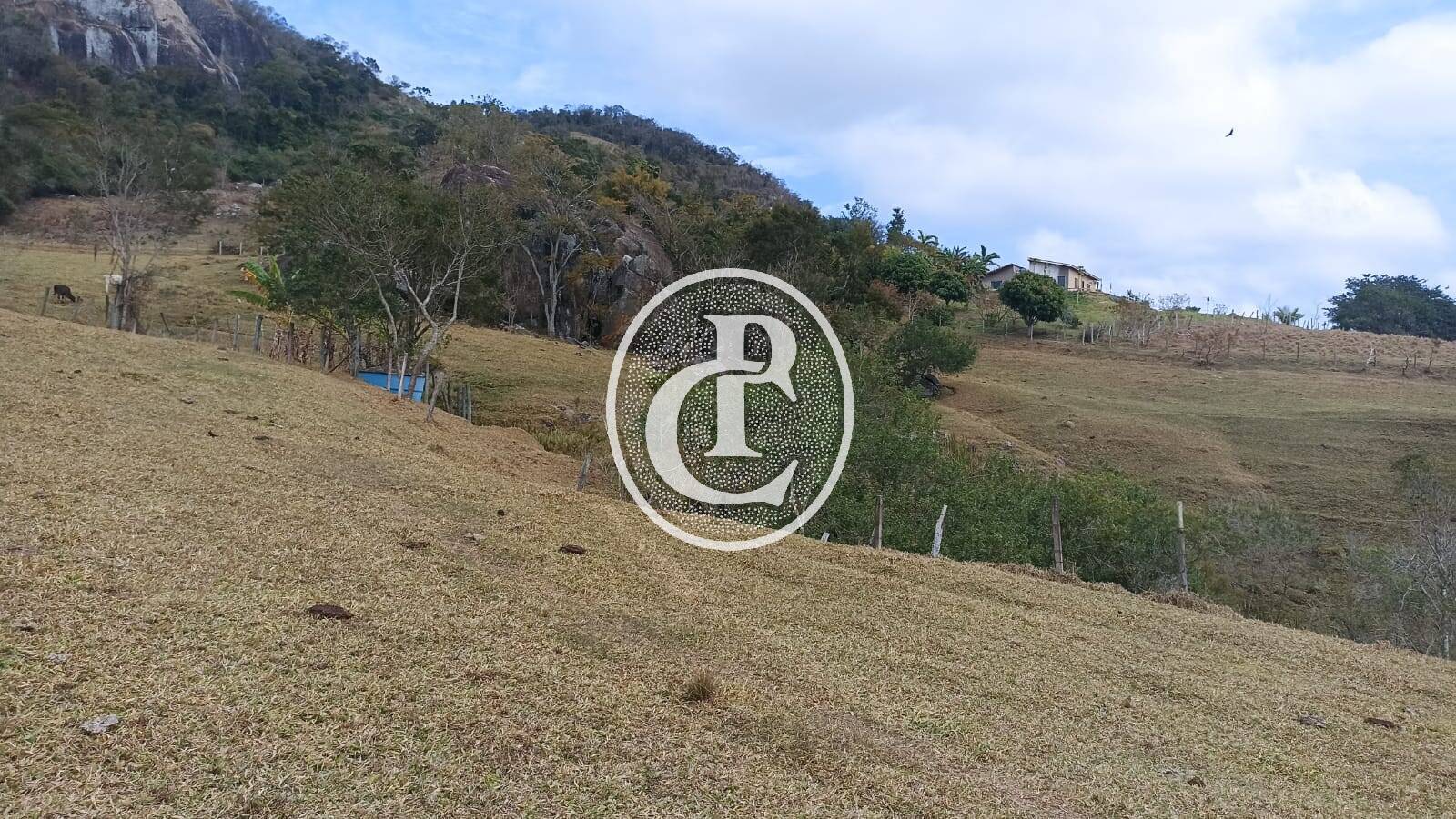 Sítio, 3 quartos, 4 hectares - Foto 2