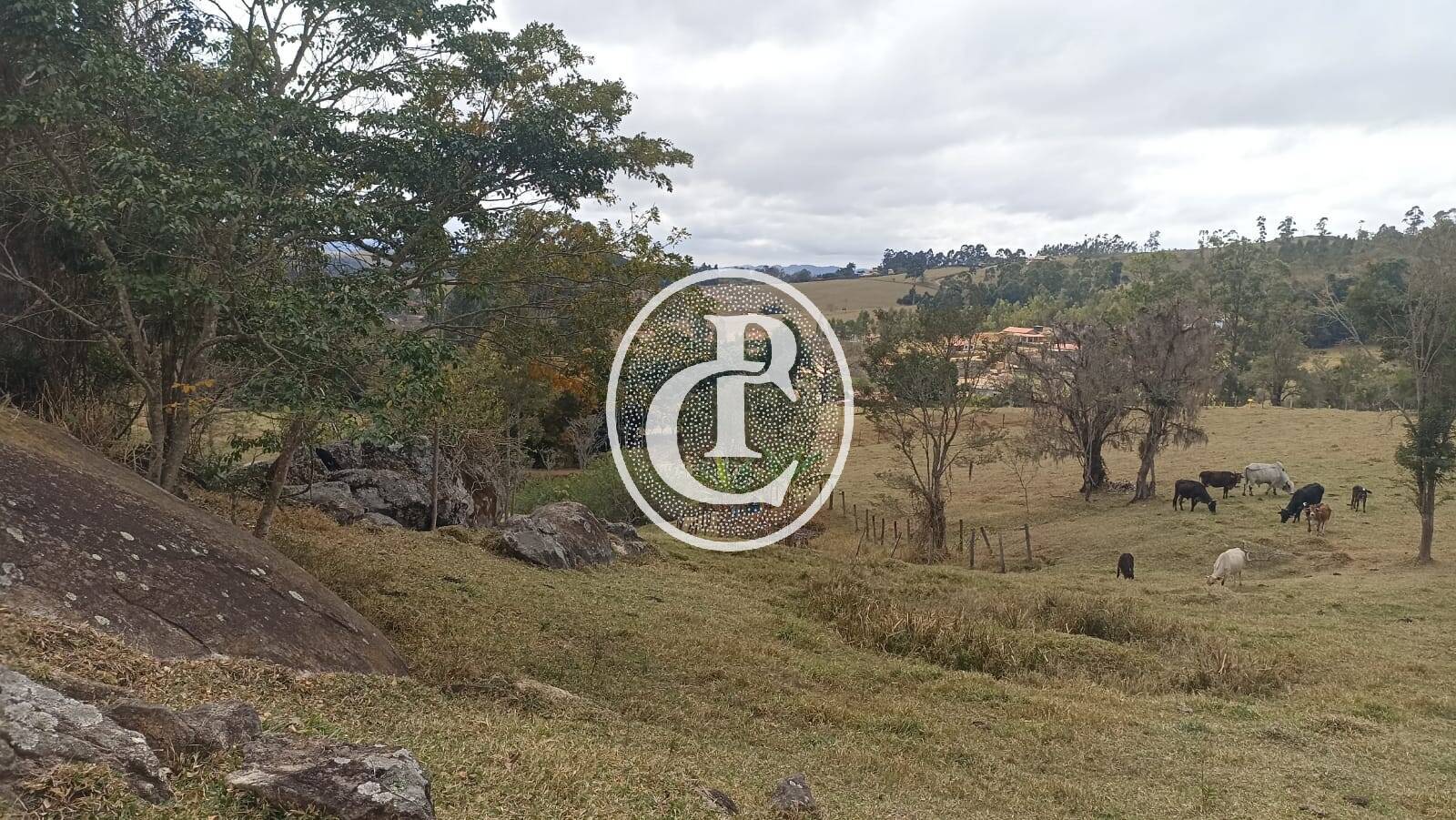 Sítio, 3 quartos, 4 hectares - Foto 14