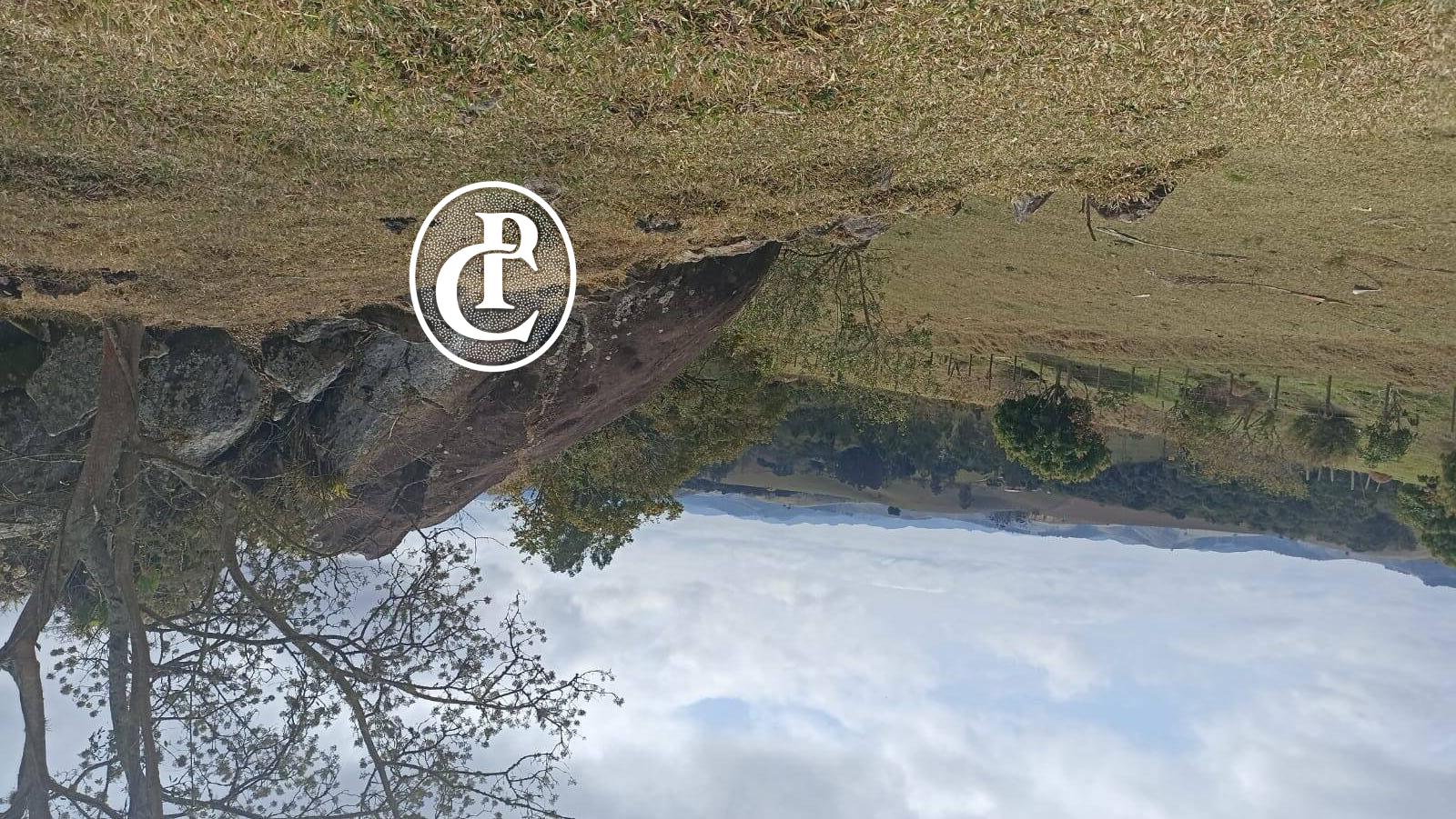 Sítio, 3 quartos, 4 hectares - Foto 16