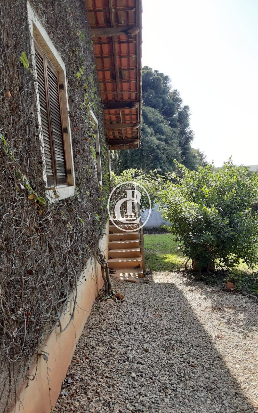 Sítio, 3 quartos, 4 hectares - Foto 17