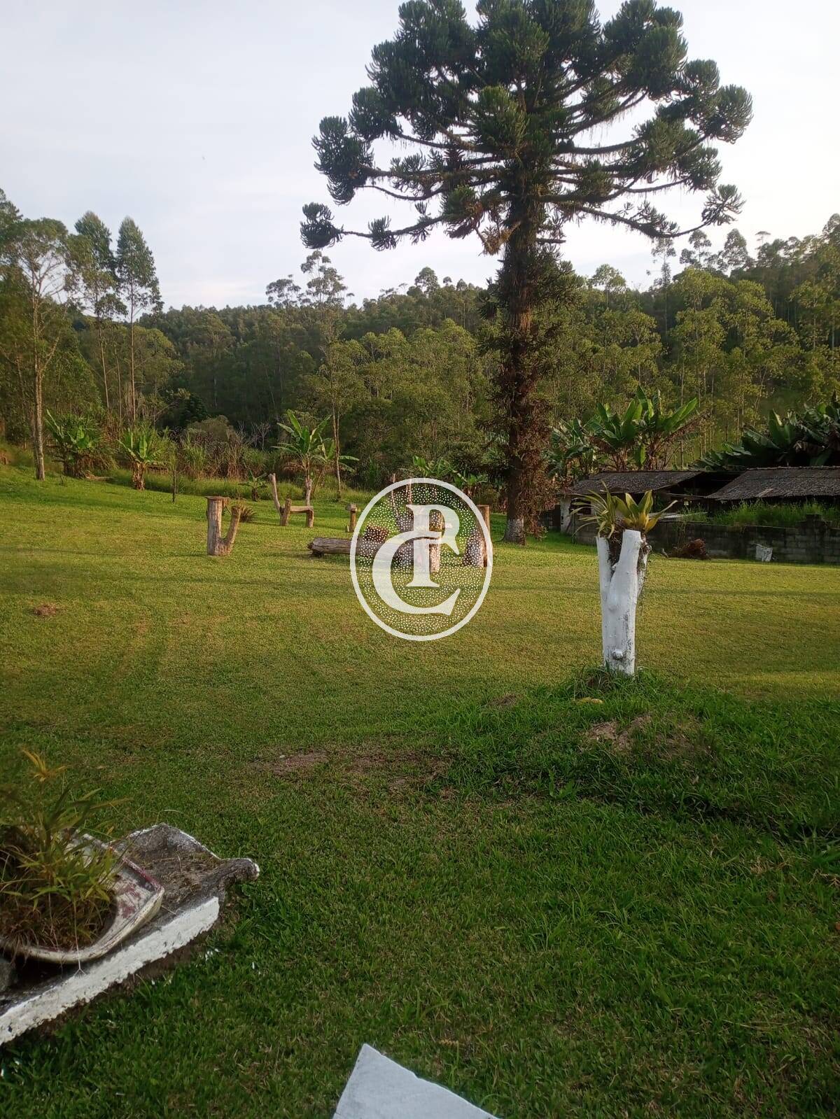 Sítio, 3 quartos, 7 hectares - Foto 3